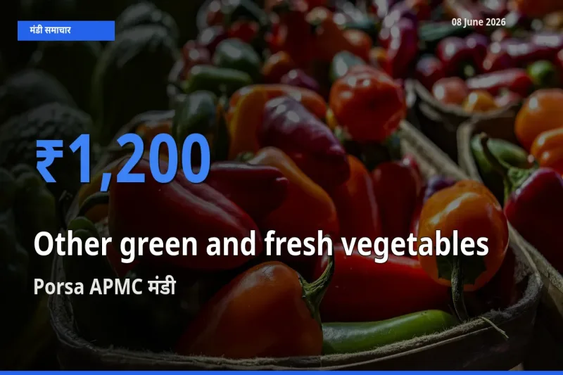 आज हरी एवं ताजी सब्जियाँ के सबसे ऊँचे दाम ₹1,200 Porsa APMC मंडी में