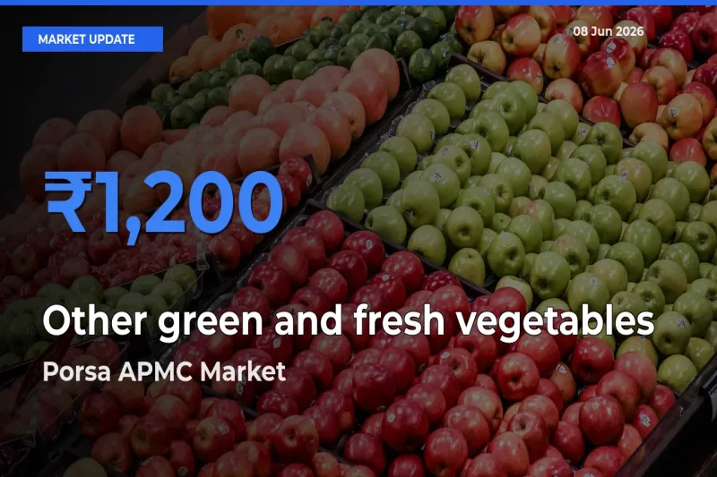 Porsa APMC Tops Other green and fresh vegetables Rates – June 08 Market Update