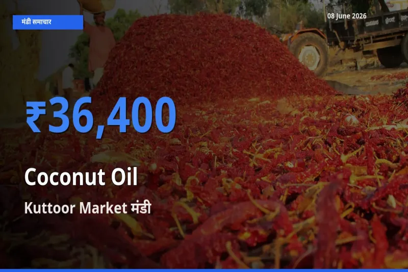 आज का मंडी भाव: नारियल का तेल के सबसे ज़्यादा दाम Kuttoor Market में