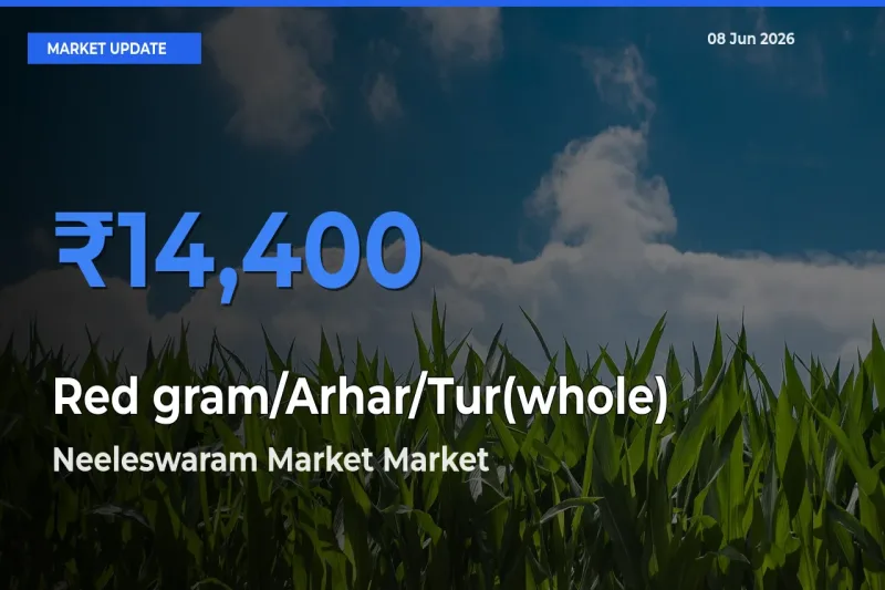 Neeleswaram Market Offers ₹14,400 – Highest Red gram/Arhar/Tur(whole) Rate Today