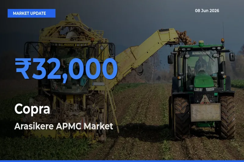 Arasikere APMC Emerges as Top Mandi for Copra Prices Today