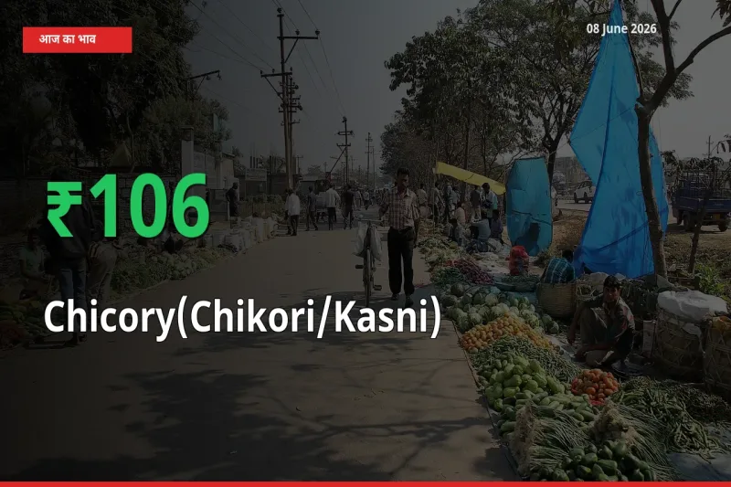 बाज़ार संकेत: कासनी के भाव मंडी में 106.34% ऊपर
