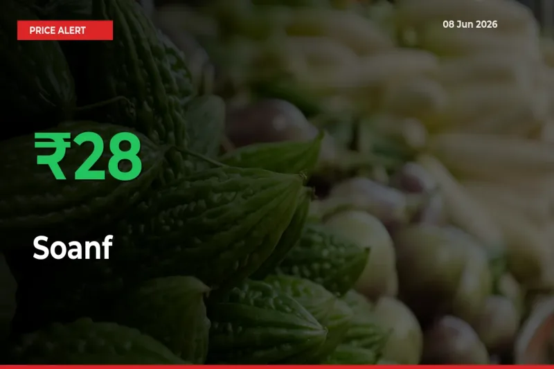 Soanf Rises 28.05% at Mandis