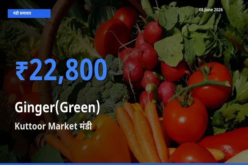 आज अदरक (हरा) के सबसे ऊँचे दाम ₹22,800 Kuttoor Market मंडी में