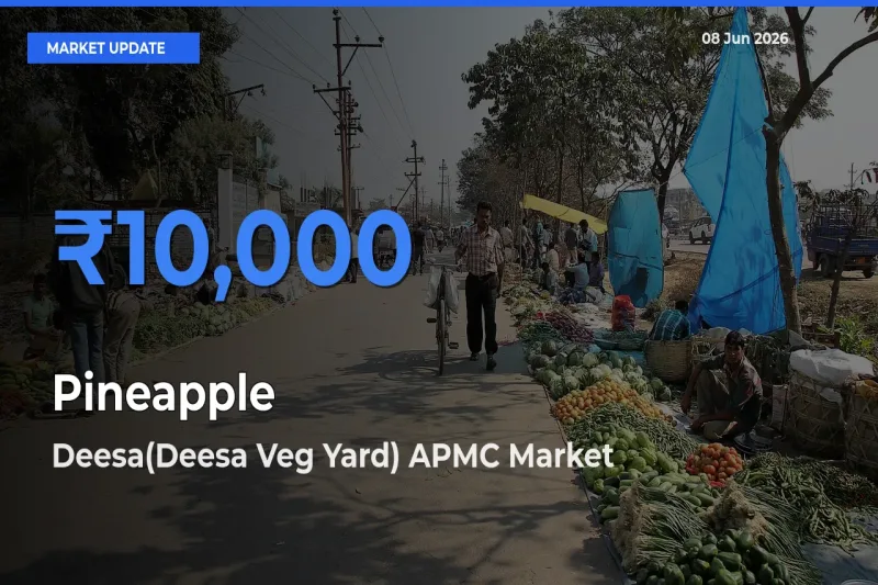 Deesa(Deesa Veg Yard) APMC Leads as Top Mandi for Pineapple Prices