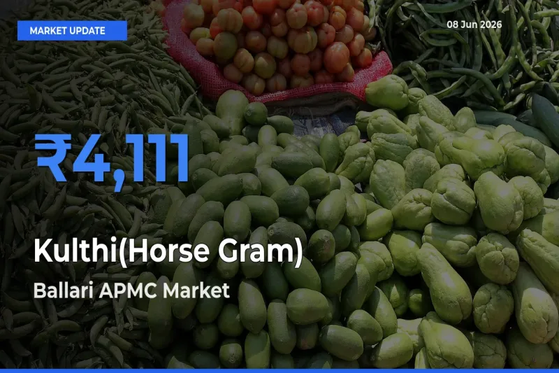 Kulthi(Horse Gram) Mandi Rate Today: Ballari APMC Tops the List