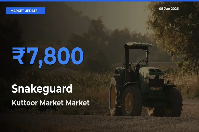 Top Performer! Kuttoor Market Offers Best Snakeguard Price Today