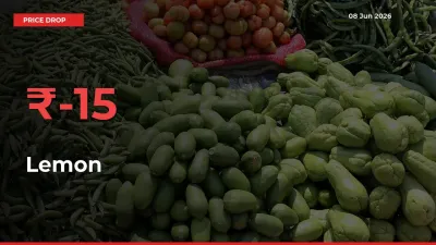 This Mandi Records 15.1% Fall in Lemon Prices