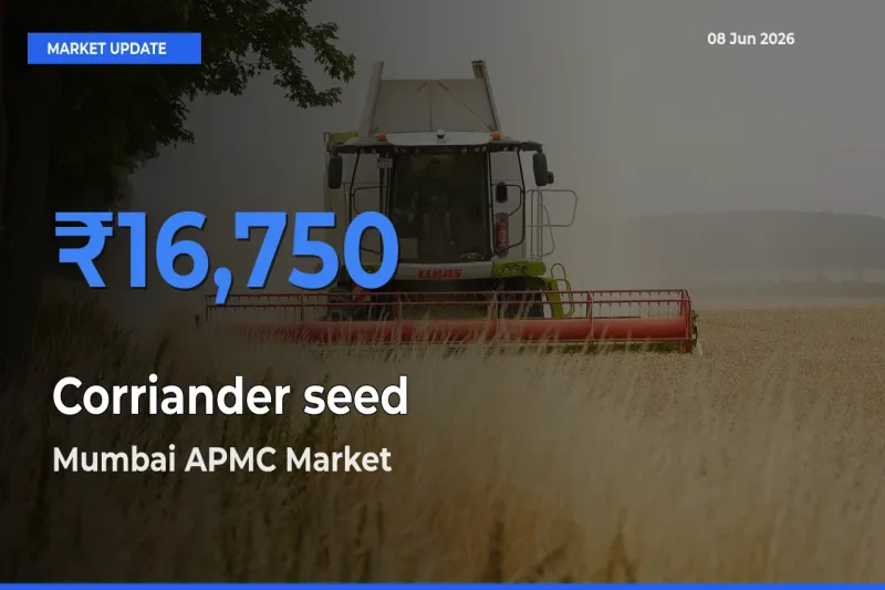 Mumbai APMC Tops Corriander seed Mandi Rates Today