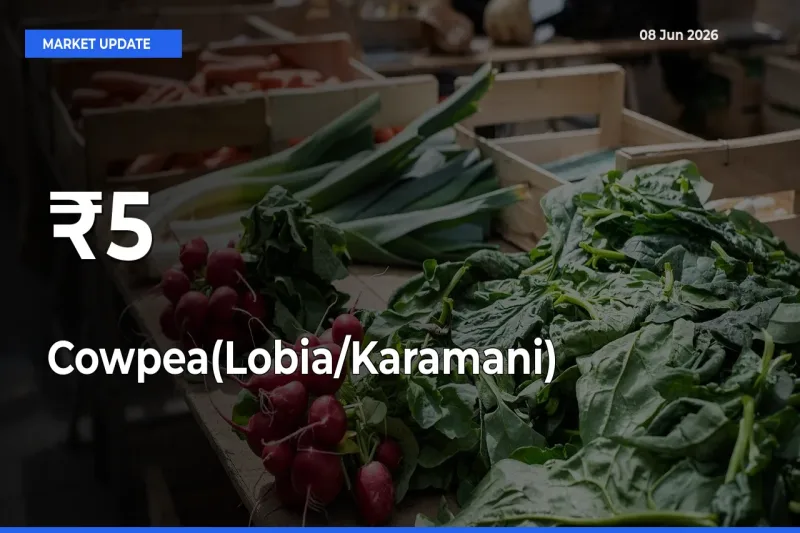 Cowpea(Lobia/Karamani) Trend Strengthens Across Major Mandis