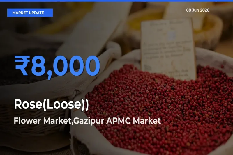 Farmers Prefer Flower Market,Gazipur APMC as Rose(Loose)) Hits Highest Rate