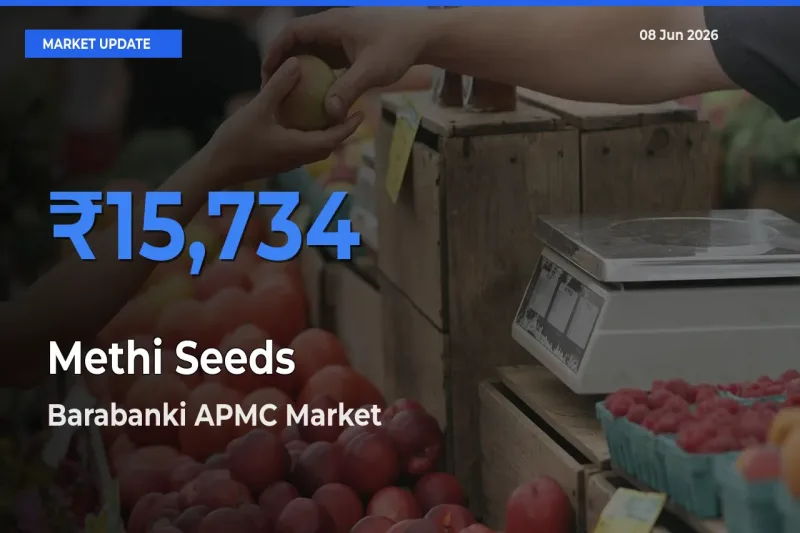 Barabanki APMC Leads as Top Mandi for Methi Seeds Prices