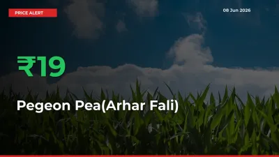 18.86% Spike in Pegeon Pea(Arhar Fali) Prices – Mandi Sees Sudden Rally