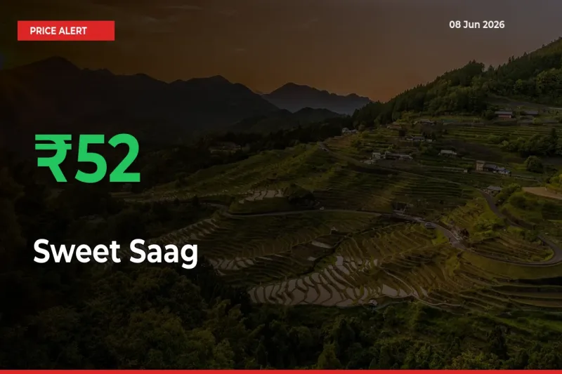 51.82% Spike in Sweet Saag Prices – Mandi Sees Sudden Rally