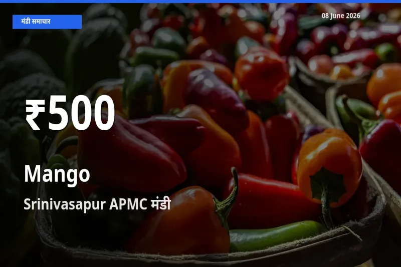 किसानों के लिए चिंता का विषय? आम के दाम Srinivasapur APMC में 30 दिन के न्यूनतम स्तर पर