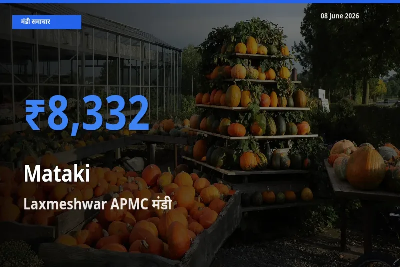 आज मटकी के सबसे ज़्यादा दाम Laxmeshwar APMC मंडी में दर्ज