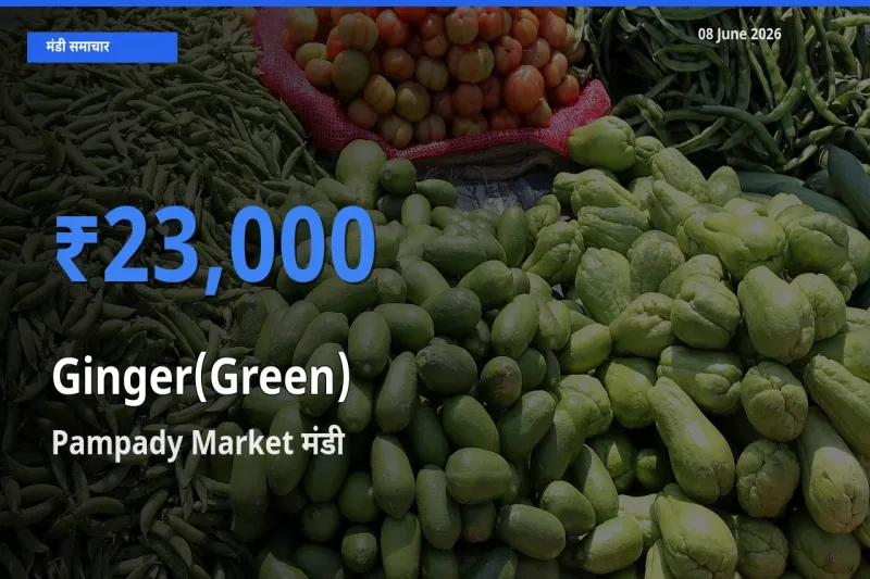आज का मंडी भाव: अदरक (हरा) के सबसे ज़्यादा दाम Pampady Market में