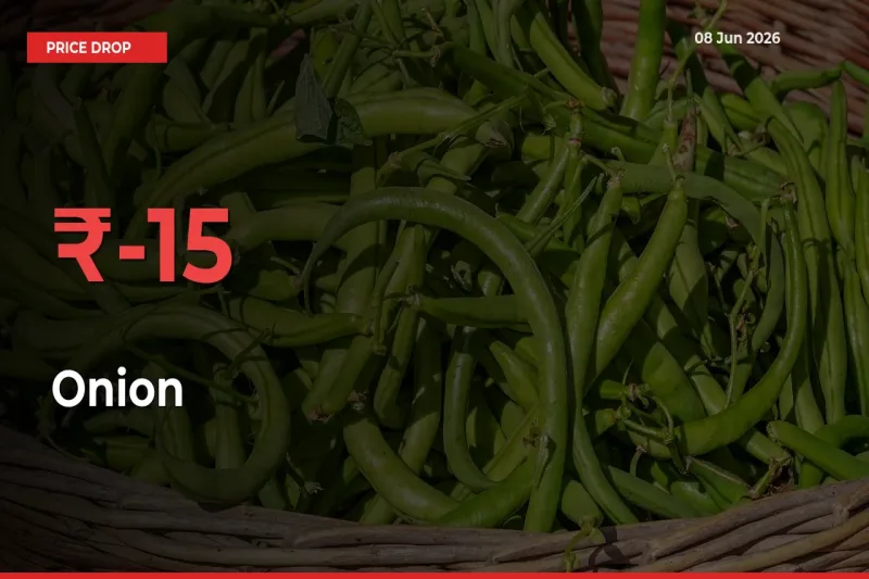 15.41% Drop in Onion Prices – Mandi Sees Sudden Fall