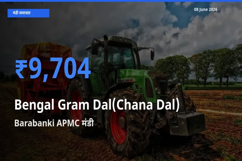 Barabanki APMC मंडी में आज चना दाल के सबसे ऊँचे दाम दर्ज