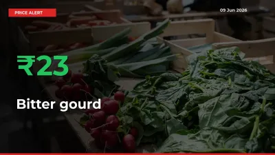 23.06% Spike in Bitter gourd Prices – Mandi Sees Sudden Rally