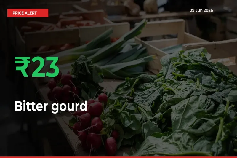 23.06% Spike in Bitter gourd Prices – Mandi Sees Sudden Rally