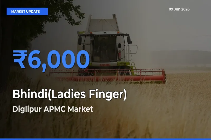 Farmers Prefer Diglipur APMC as Bhindi(Ladies Finger) Hits Highest Rate