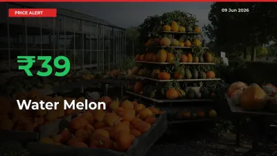 Sharp Jump! Water Melon Prices Climb 39.27% in 24 Hours at Key Mandis