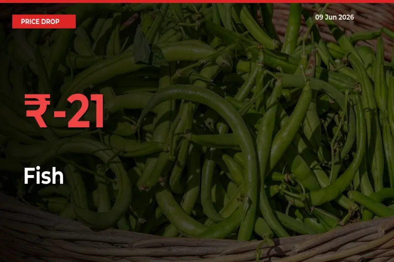 Fish Mandi Rate Today: Prices Fall 20.87% at Market