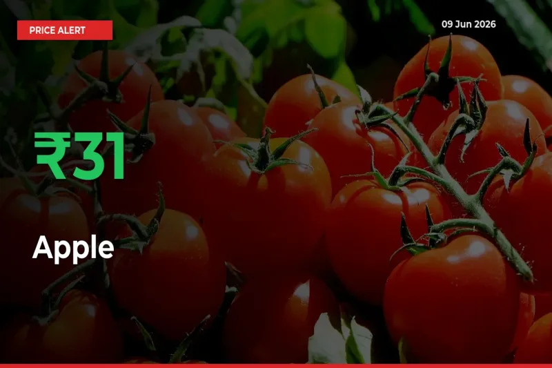 30.72% Spike in Apple Prices – Mandi Sees Sudden Rally