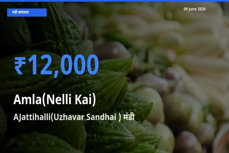 09 June अपडेट: आंवला के सबसे ऊँचे दाम AJattihalli(Uzhavar Sandhai ) मंडी में