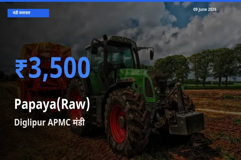 Diglipur APMC में पपीता (कच्चा) का आज सबसे ऊँचा भाव