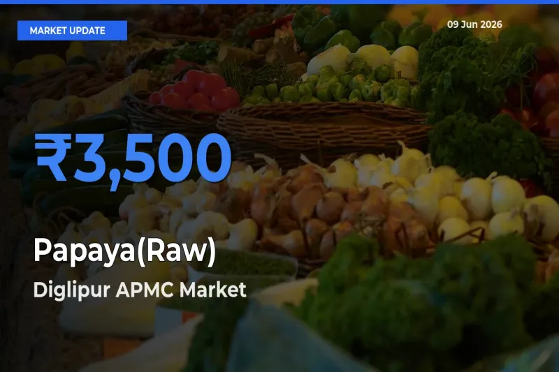 Diglipur APMC Emerges as Top Mandi for Papaya(Raw) Prices Today