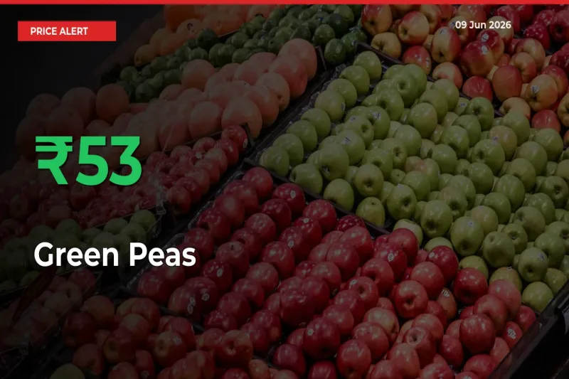 52.88% Spike in Green Peas Prices – Mandi Sees Sudden Rally