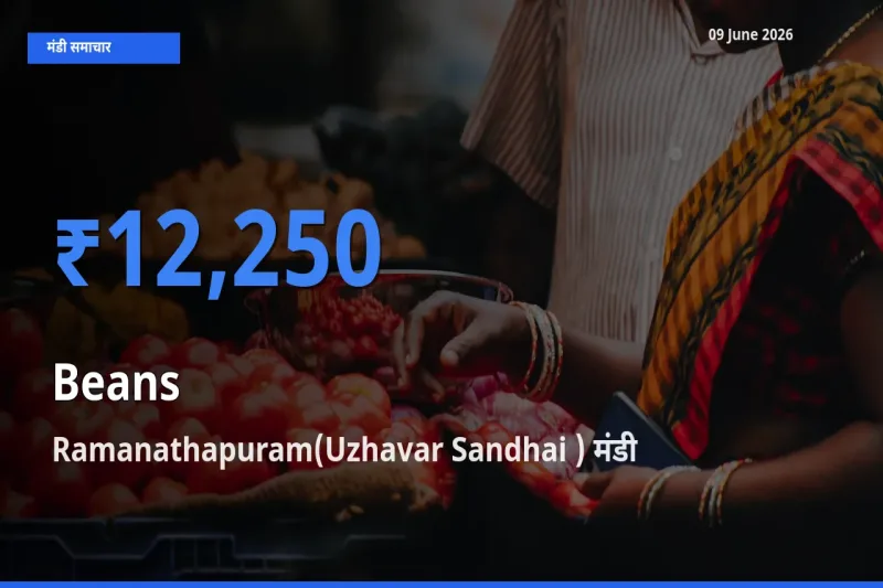 Ramanathapuram(Uzhavar Sandhai ) मंडी में फलियाँ (सेम) ₹12,250 पर पहुँचा – आज का सर्वोच्च भाव