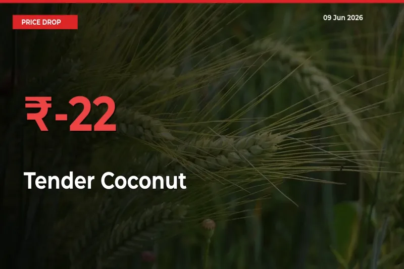 22.3% Drop in Tender Coconut Prices – Mandi Sees Sudden Fall