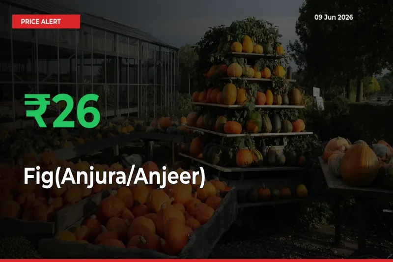 Fig(Anjura/Anjeer) Prices Rise 26.39% in a Day at Major Mandis