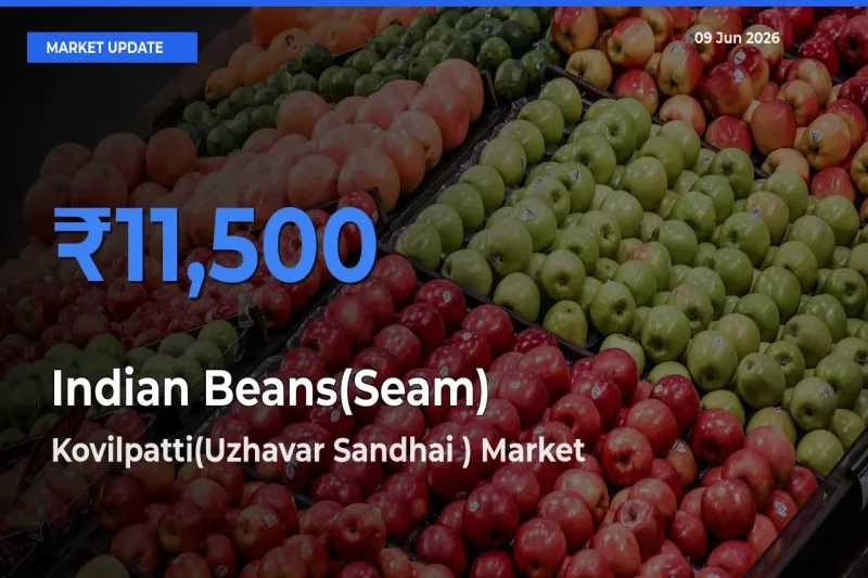 Indian Beans(Seam) Mandi Rate Today: Kovilpatti(Uzhavar Sandhai ) Tops the List
