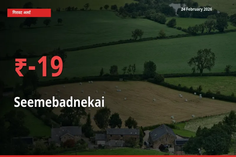 आज का मंडी भाव: Seemebadnekai के दाम मंडी में 18.6% नीचे