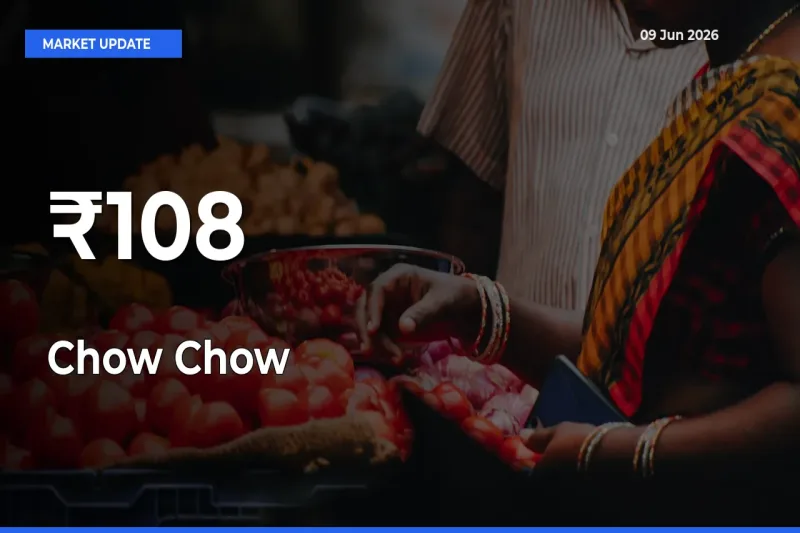 Chow Chow Prices Trend Across 108+ Mandis – Market Direction Turns Clear