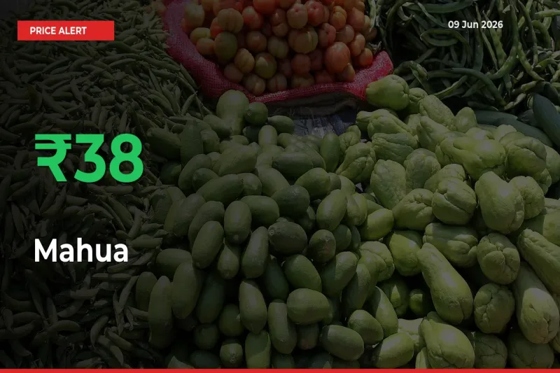 This Mandi Records 37.56% Jump in Mahua Prices