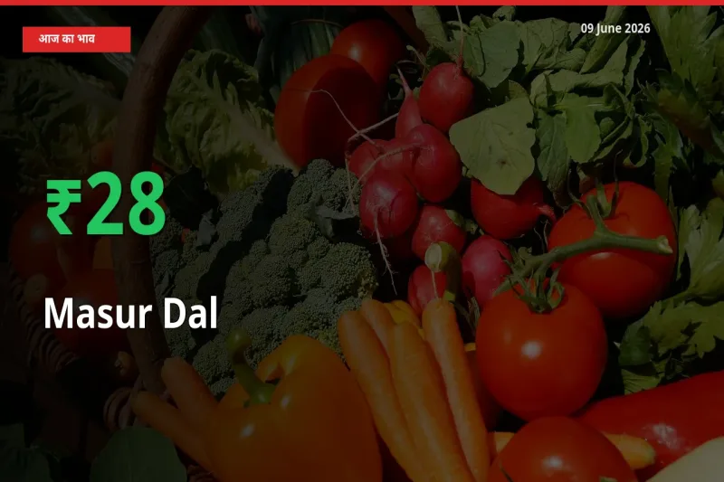 किसानों के लिए खुशखबरी! स्थानीय मंडी में मसूर दाल 27.77% उछला