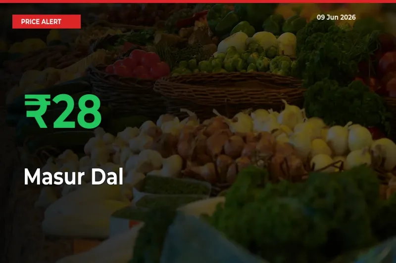 Sudden 27.77% Rally in Masur Dal Prices Across Mandis