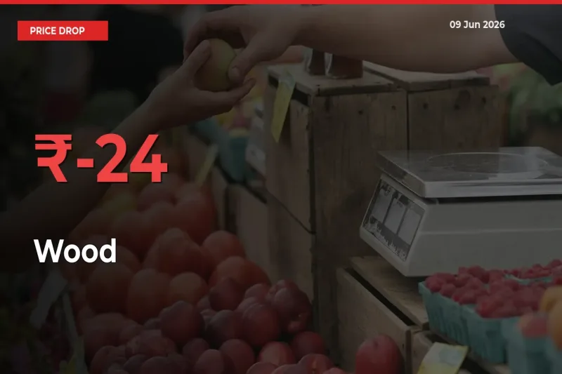 Sudden Shock! Wood Drops 24.07% in 24 Hours at Top Mandis