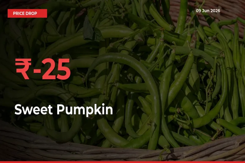 Sudden Shock! Sweet Pumpkin Drops 25.27% in 24 Hours at Top Mandis