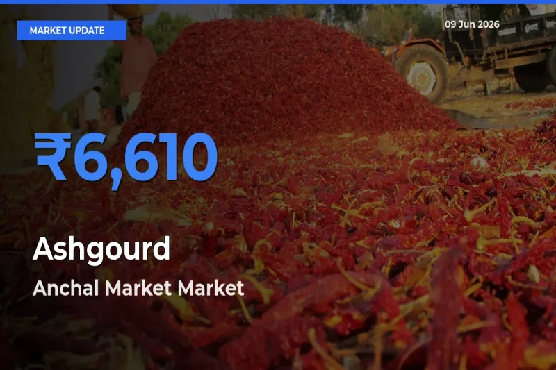 Ashgourd Mandi Rate Today: Anchal Market Tops the List