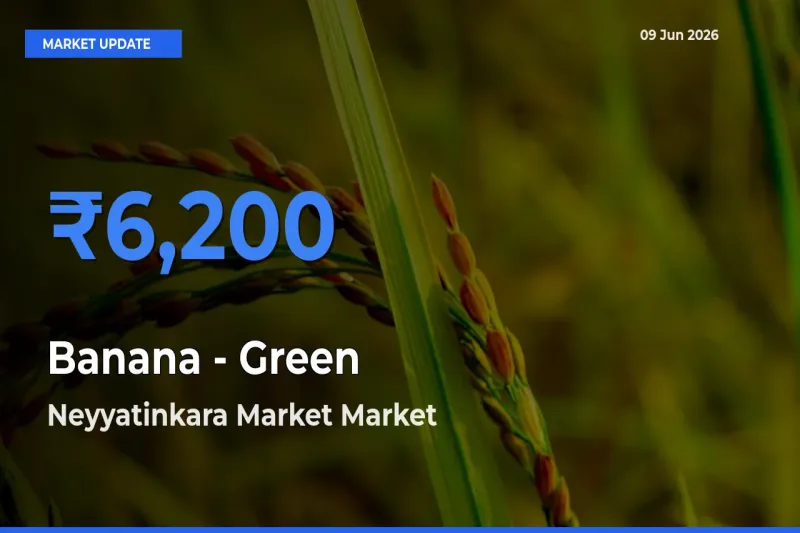 Neyyatinkara Market Records Highest ₹6,200 Rate for Banana - Green