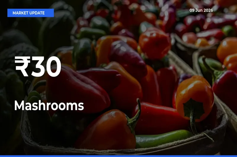 Mashrooms Rates Show Broad Movement Across 30+ Mandis