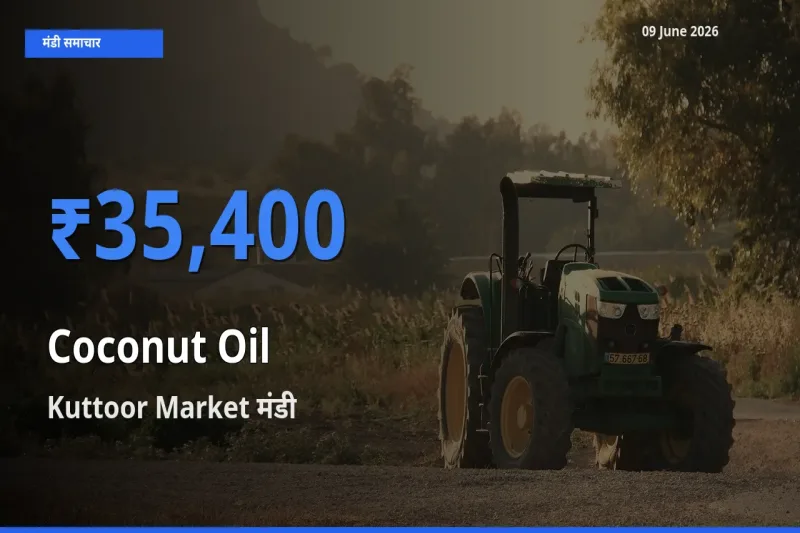 आज नारियल का तेल के सबसे ज़्यादा दाम Kuttoor Market मंडी में दर्ज