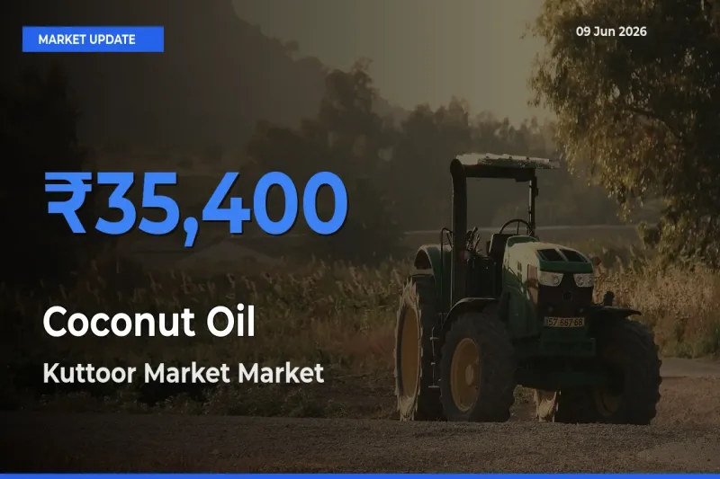 Kuttoor Market Offers ₹35,400 – Highest Coconut Oil Rate Today