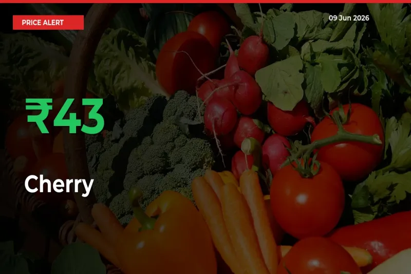 Cherry Rises 42.89% at Mandis